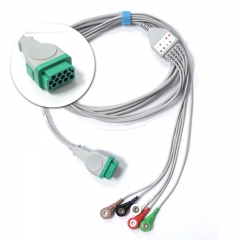 Câble de coffre d'ECG & Leadwire